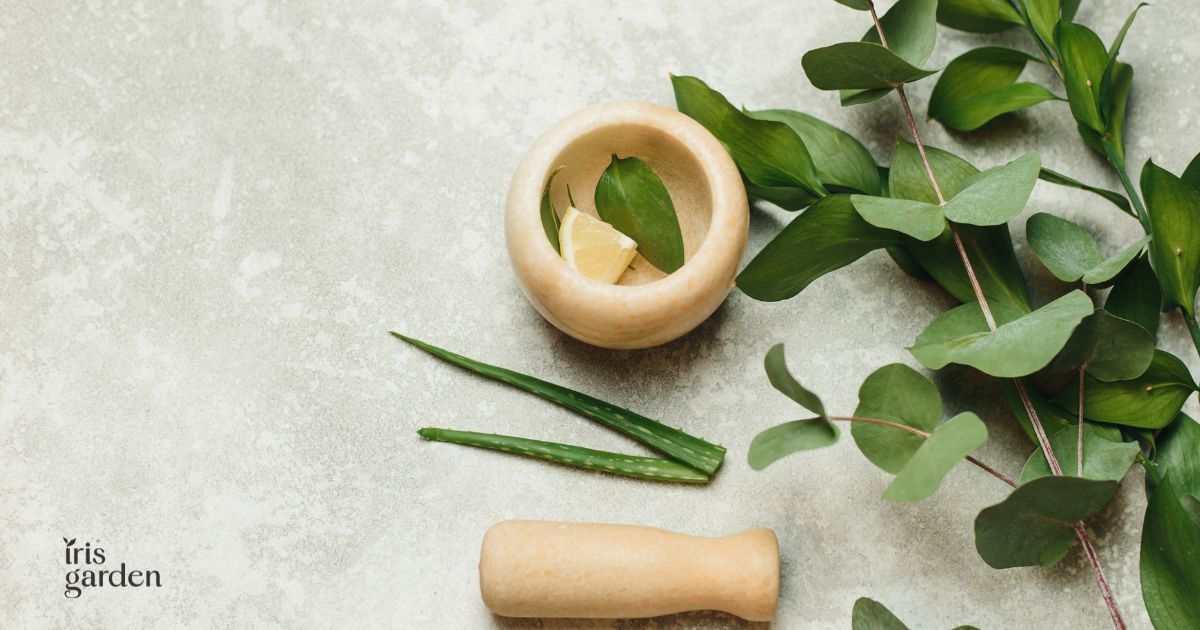 Natural Cosmetics: A Guide to Choosing Better Skin Products 1 natural cosmetics