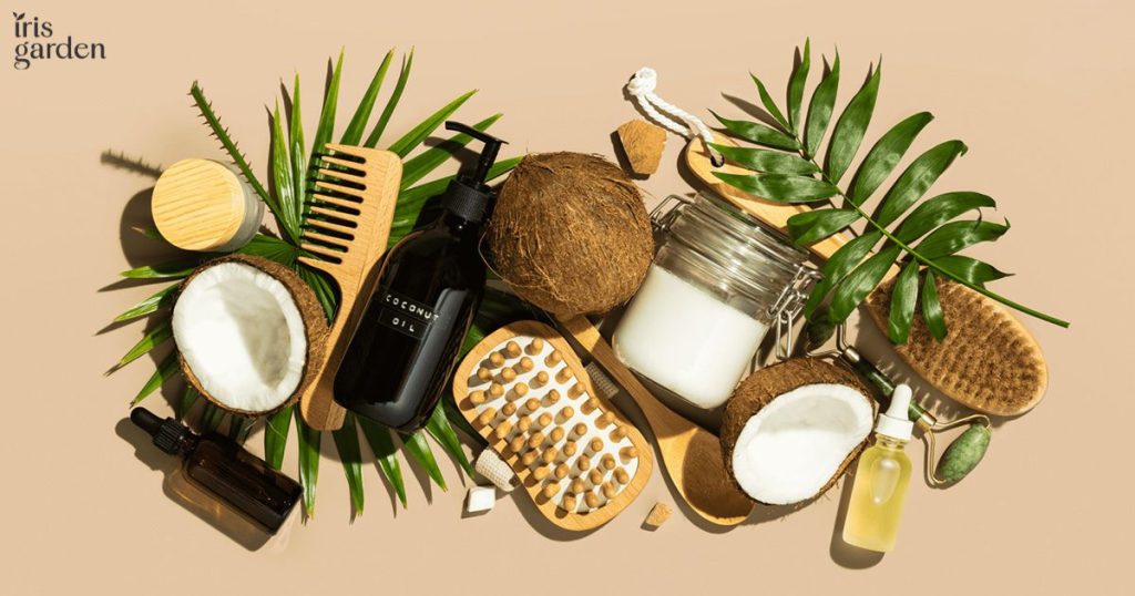 Plant-Based Skincare 101: Start Your Routine! 1 Plant-based