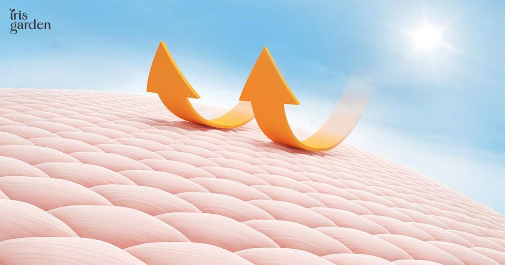 Skin Barrier 101: Damage Signs, Healing, and Maintenance 1 Skin Barrier